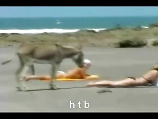 :- KAMERA KAMERA YAKALANAN fahişeler -: yerli ifşa vk ukmike video
